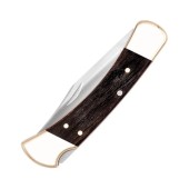Buck 110 Folding Hunter Knife, Hunting Knife (9210).