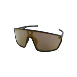 Evolution Stride Matte Black Glasses